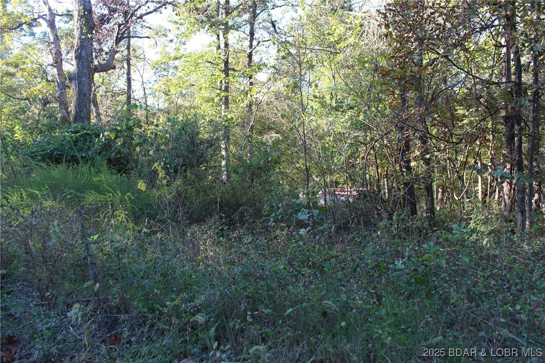 Dogwood Drive Property Photo 1