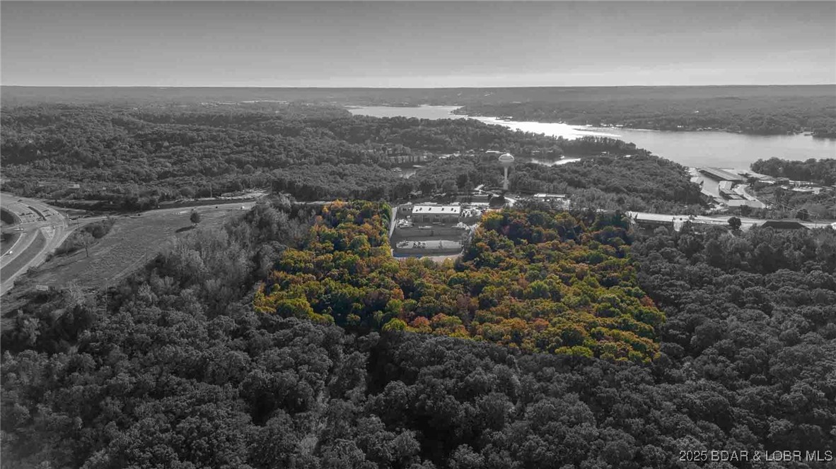 Bagnell Dam Boulevard Property Photo 7
