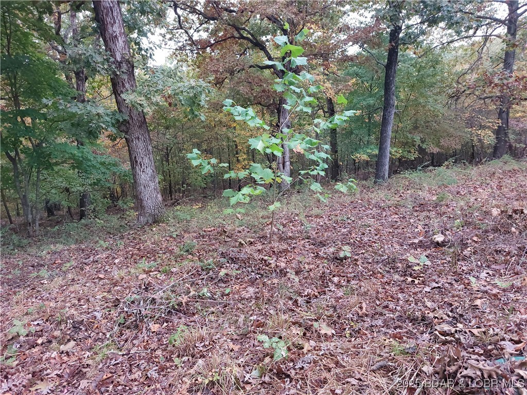 34246 Rabbit Run Property Photo 16