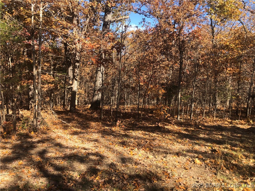 Long Hollow Rd Property Photo 1