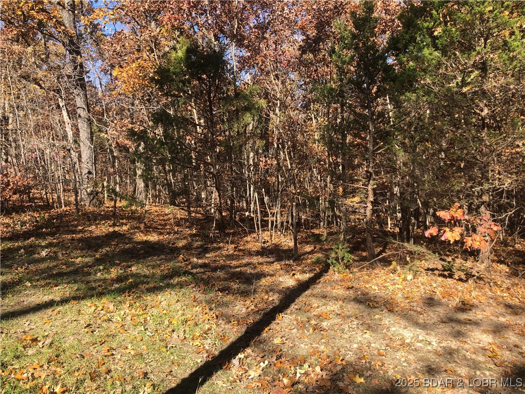 Long Hollow Rd Property Photo 2