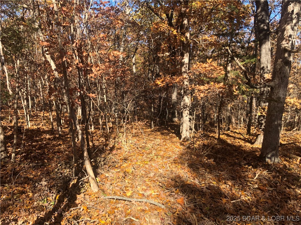 Long Hollow Rd Property Photo 3