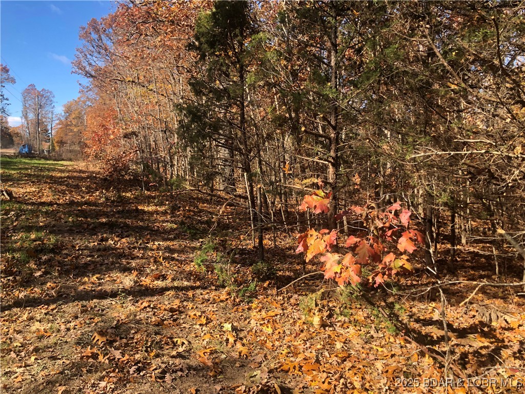 Long Hollow Rd Property Photo 4