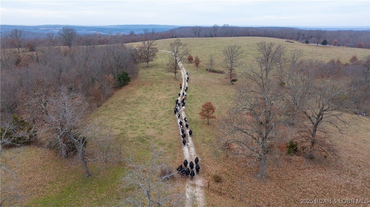 12765 Buckeye Road Property Photo 2