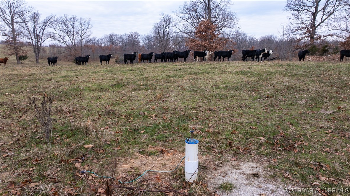 12765 Buckeye Road Property Photo 3
