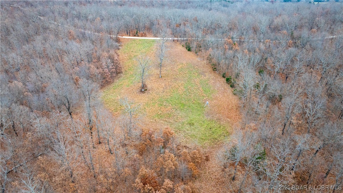 12765 Buckeye Road Property Photo 9