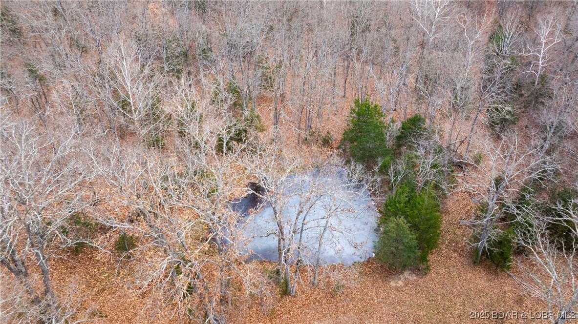 12765 Buckeye Road Property Photo 13