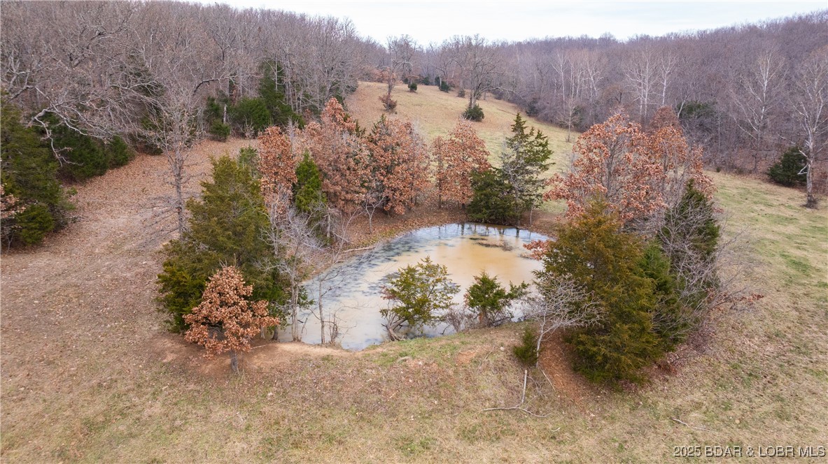 12765 Buckeye Road Property Photo 14