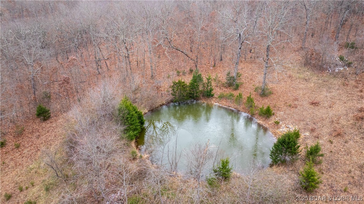 12765 Buckeye Road Property Photo 20