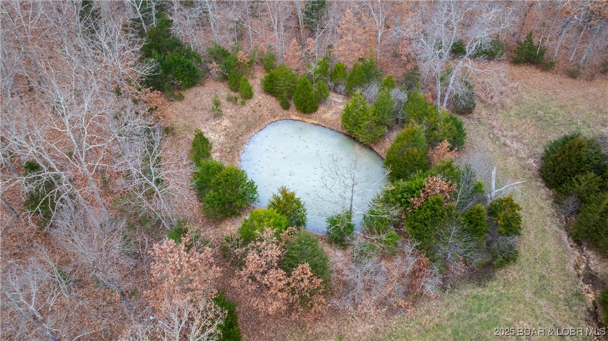 12765 Buckeye Road Property Photo 22