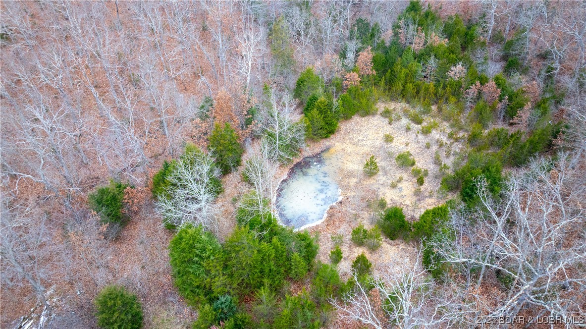 12765 Buckeye Road Property Photo 24