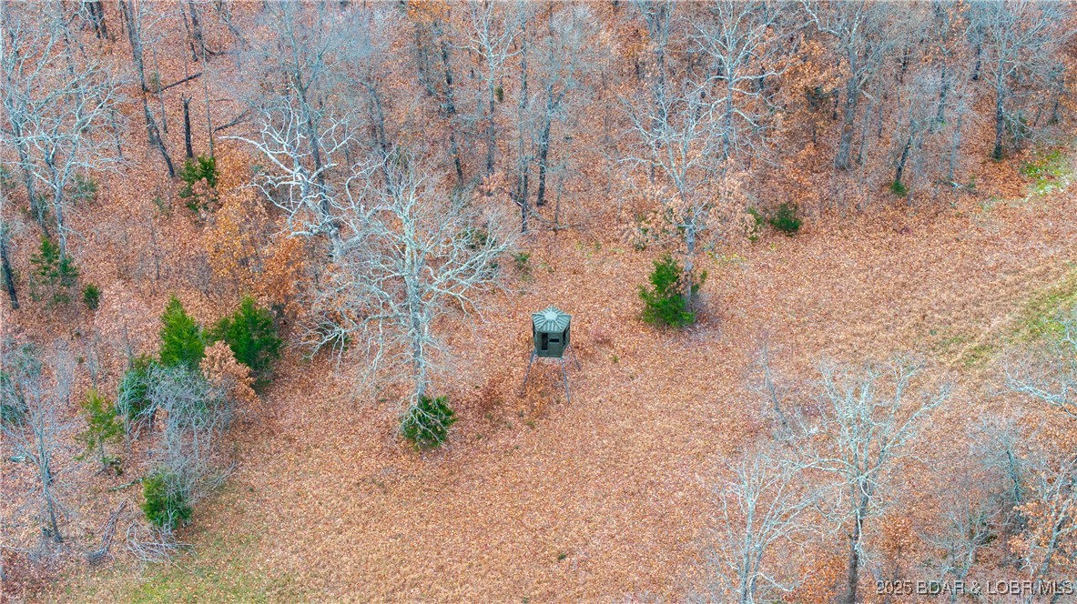 12765 Buckeye Road Property Photo 26