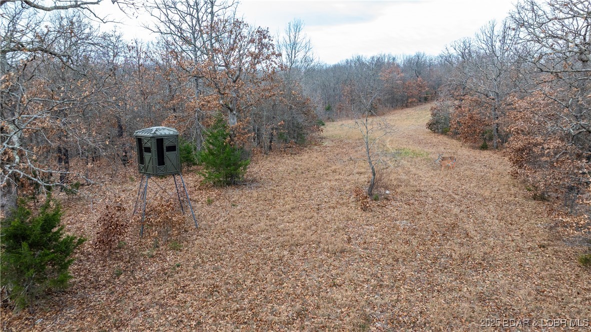 12765 Buckeye Road Property Photo 28