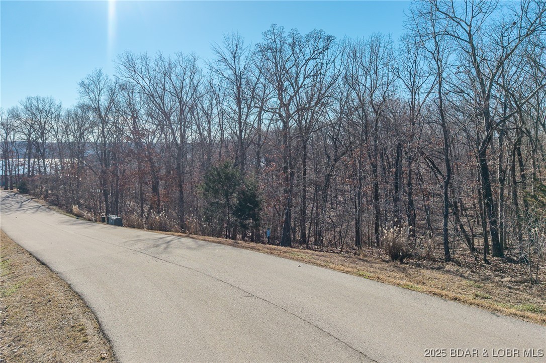 Lot 222 Forestridge Lane Property Photo 6