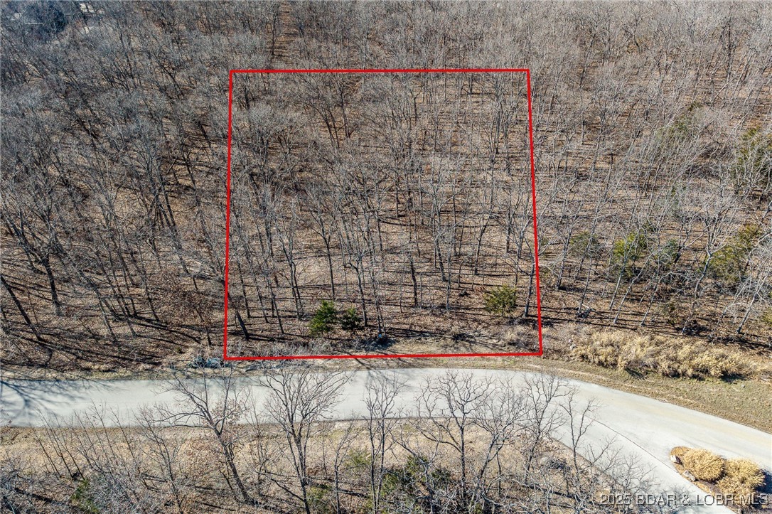 Lot 222 Forestridge Lane Property Photo 11