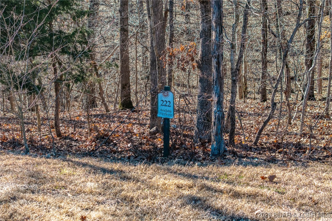 Lot 222 Forestridge Lane Property Photo 14