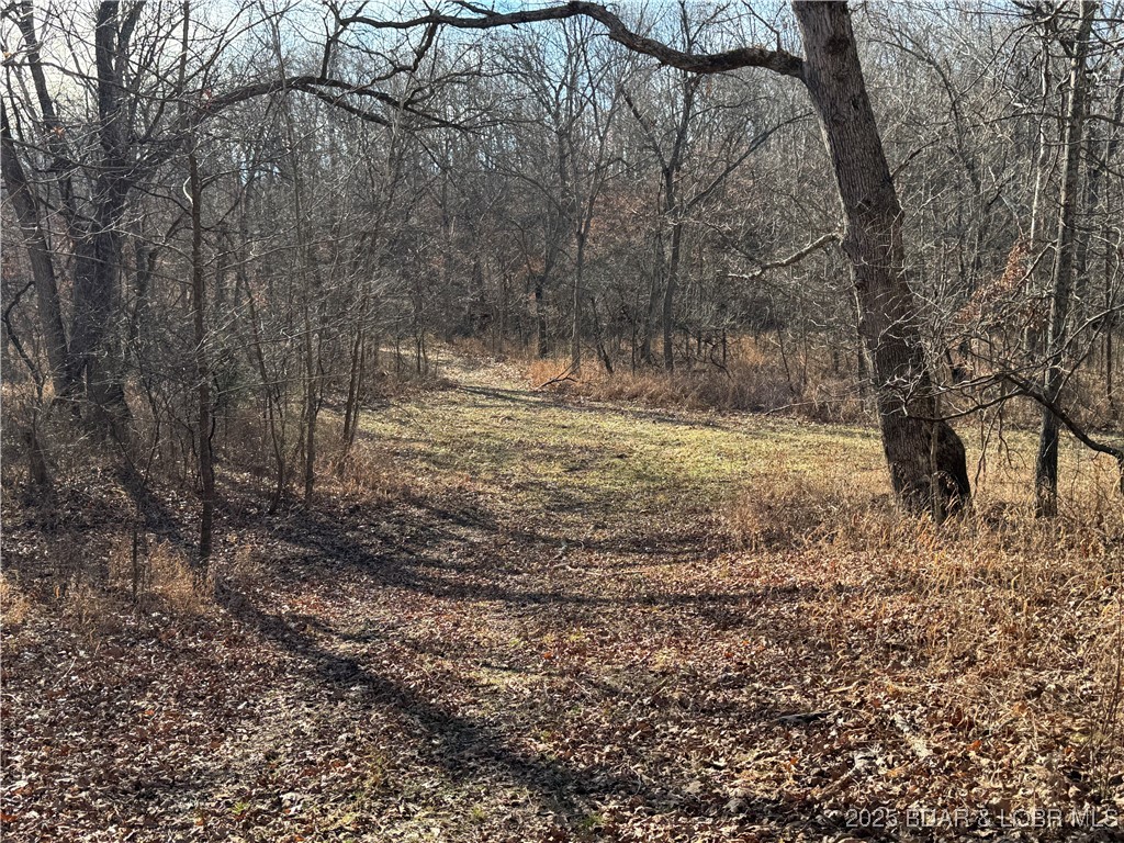 82 Acres State Rd Nn Property Photo 31