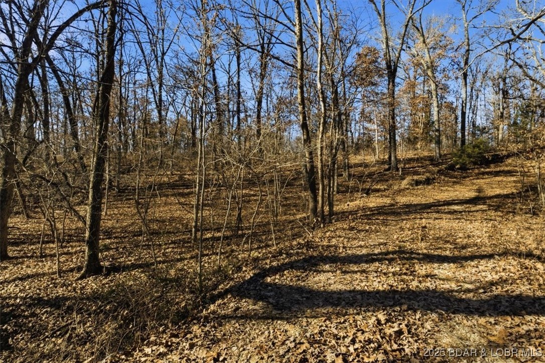 82 Acres State Rd Nn Property Photo 33