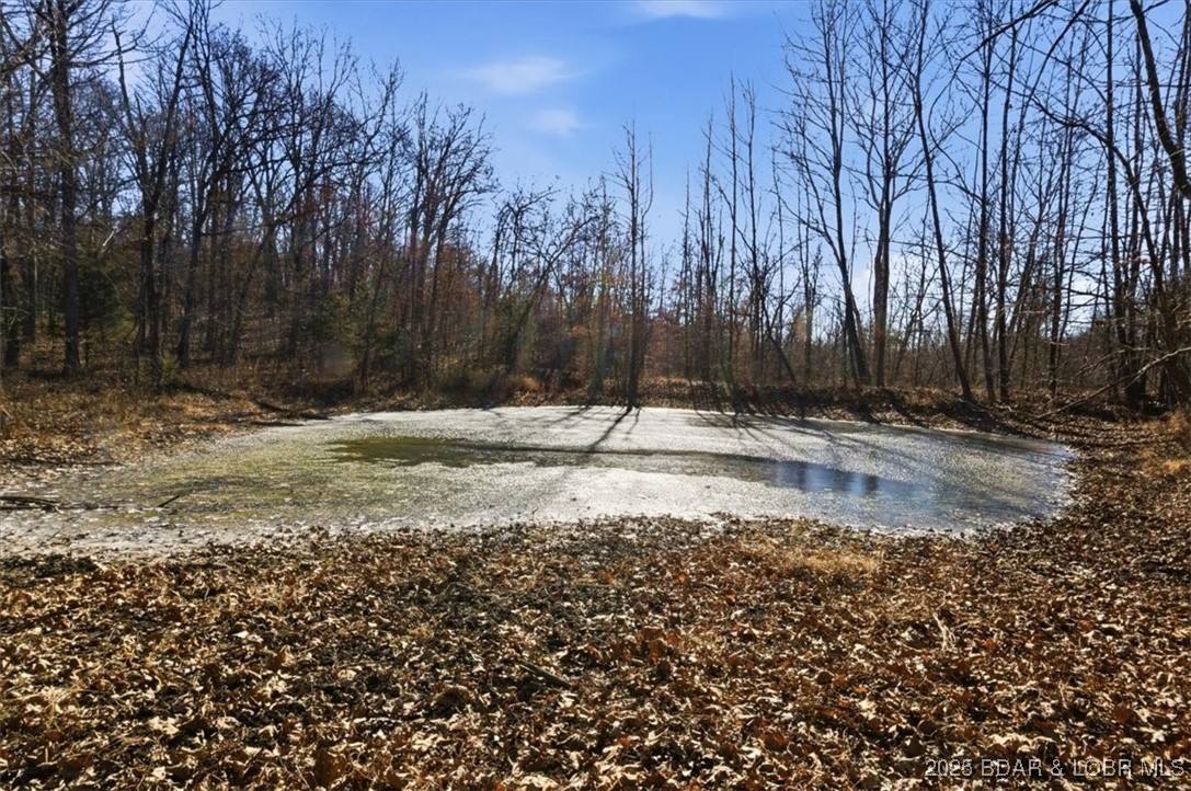 82 Acres State Rd Nn Property Photo 34