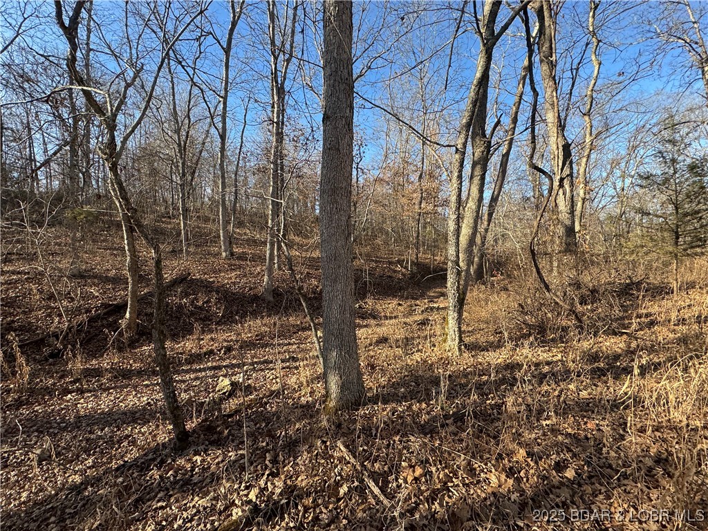 82 Acres State Rd Nn Property Photo 37