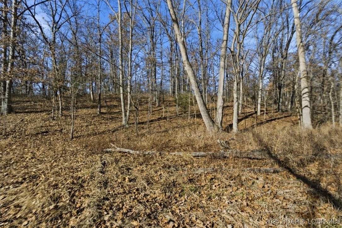 82 Acres State Rd Nn Property Photo 41