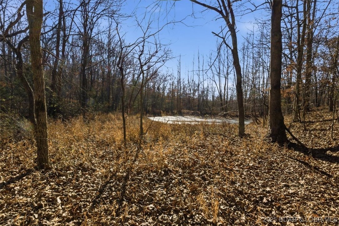 82 Acres State Rd Nn Property Photo 43