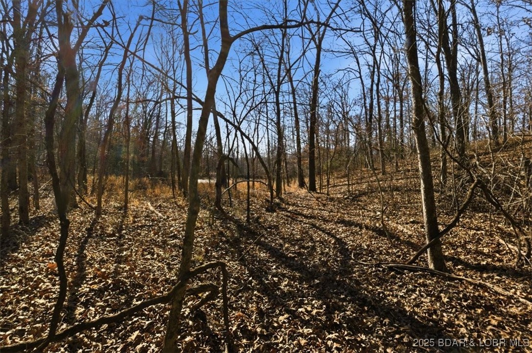 82 Acres State Rd Nn Property Photo 44