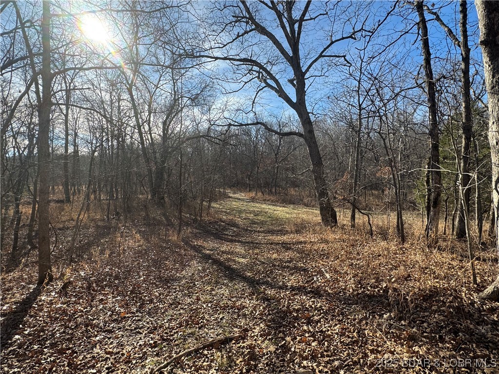 82 Acres State Rd Nn Property Photo 46