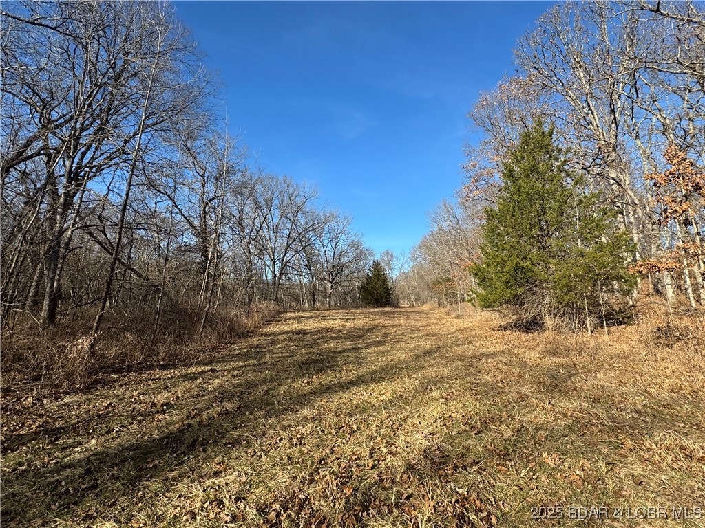 82 Acres State Rd Nn Property Photo 47