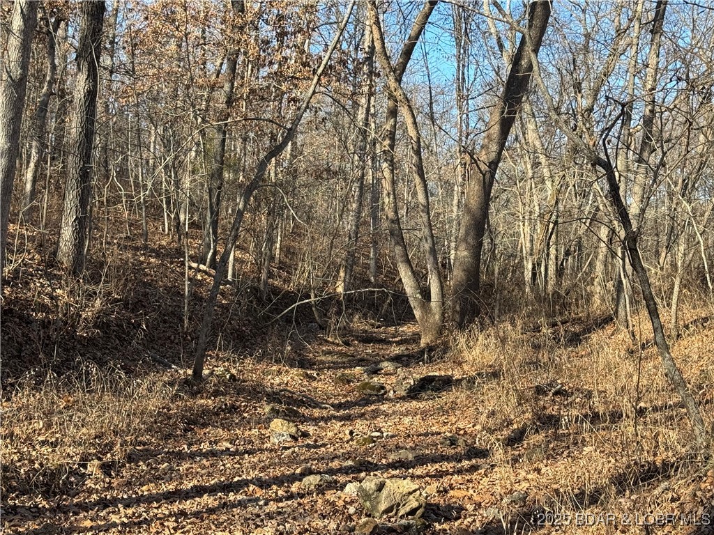 82 Acres State Rd Nn Property Photo 48
