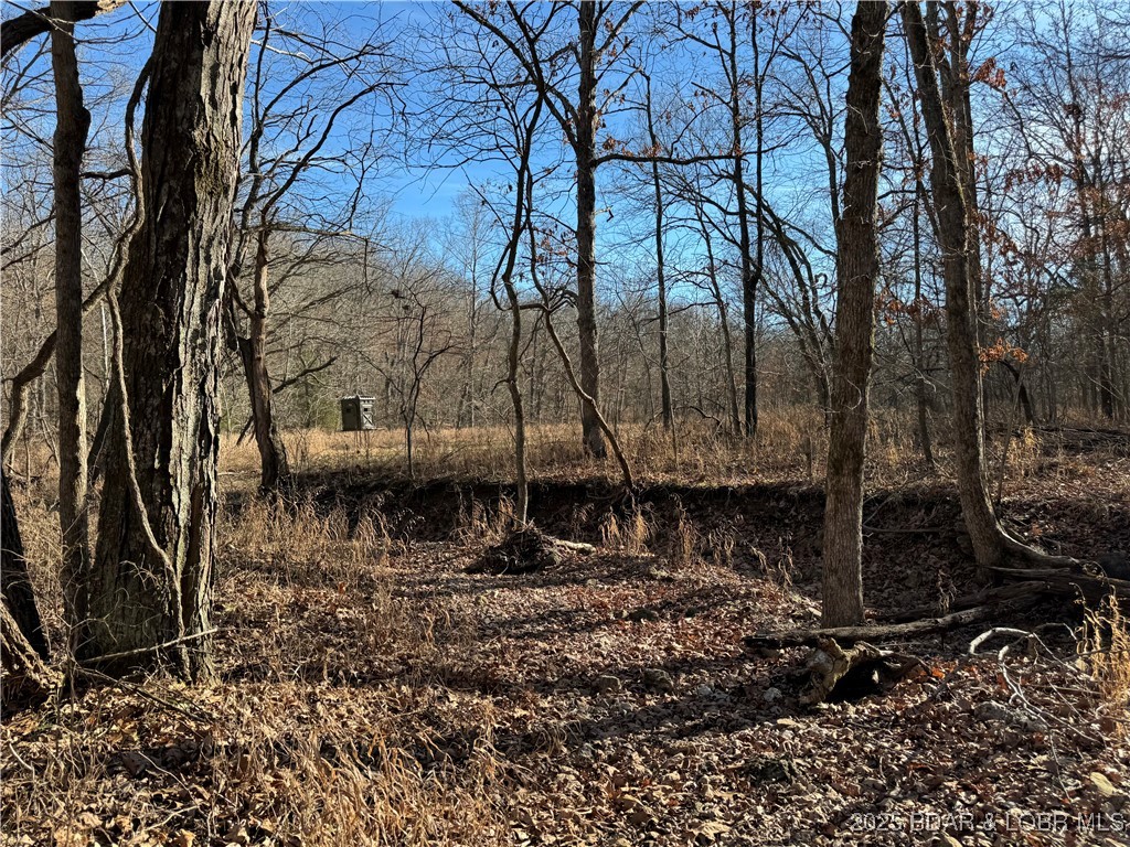 82 Acres State Rd Nn Property Photo 49