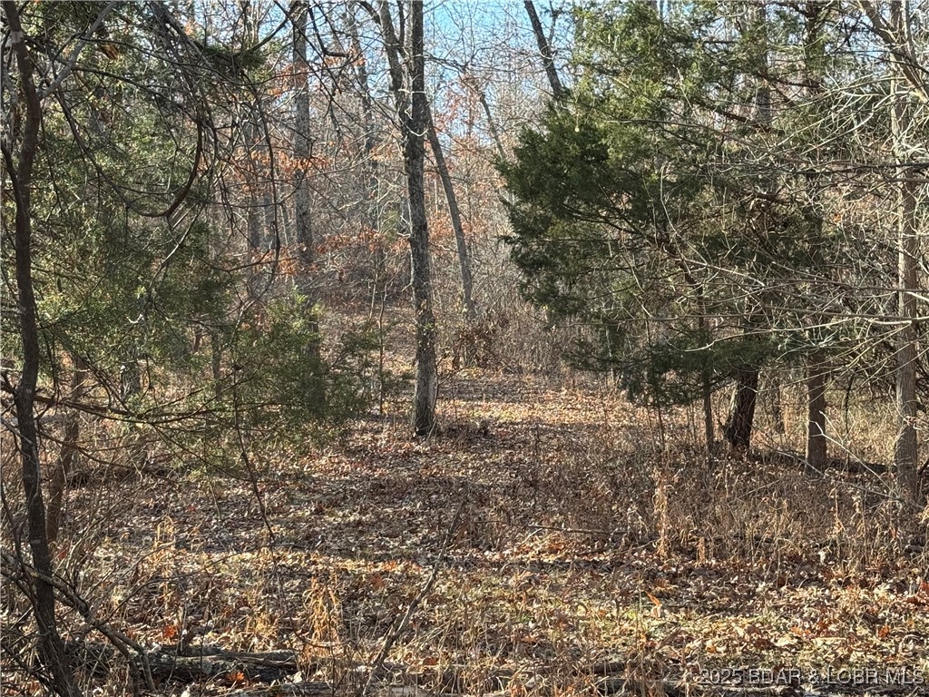 82 Acres State Rd Nn Property Photo 52