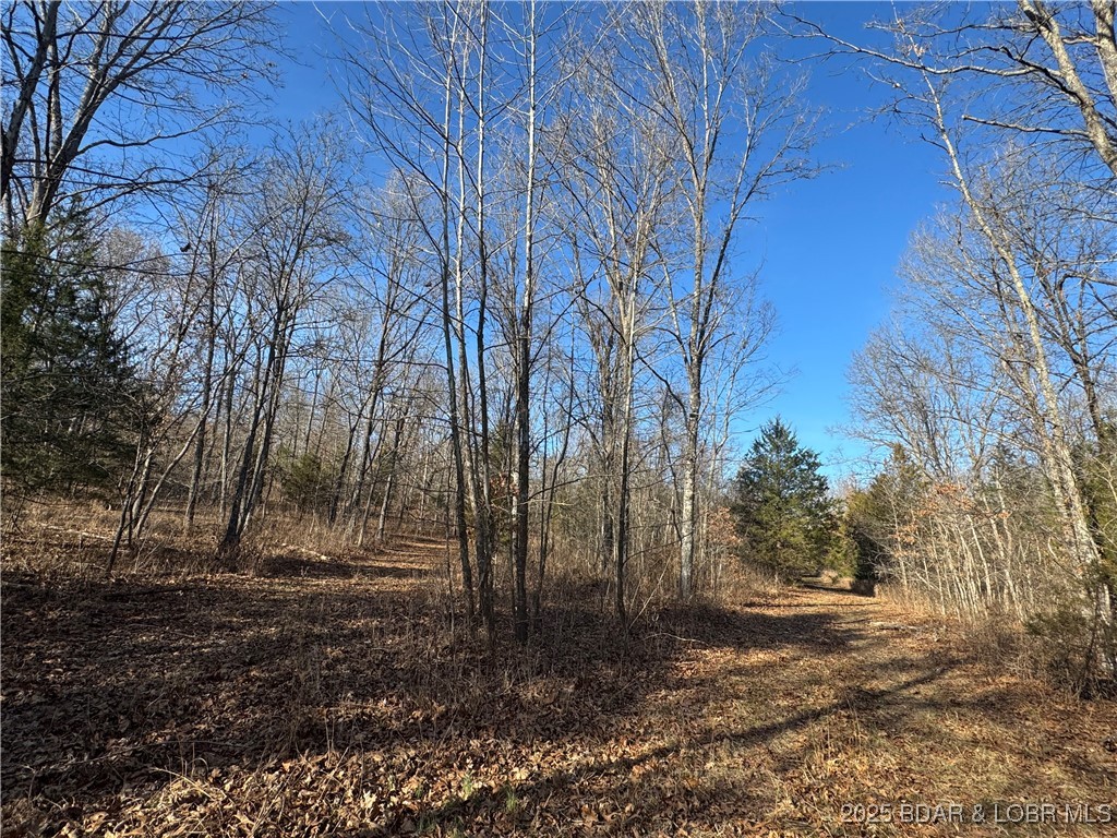 82 Acres State Rd Nn Property Photo 54