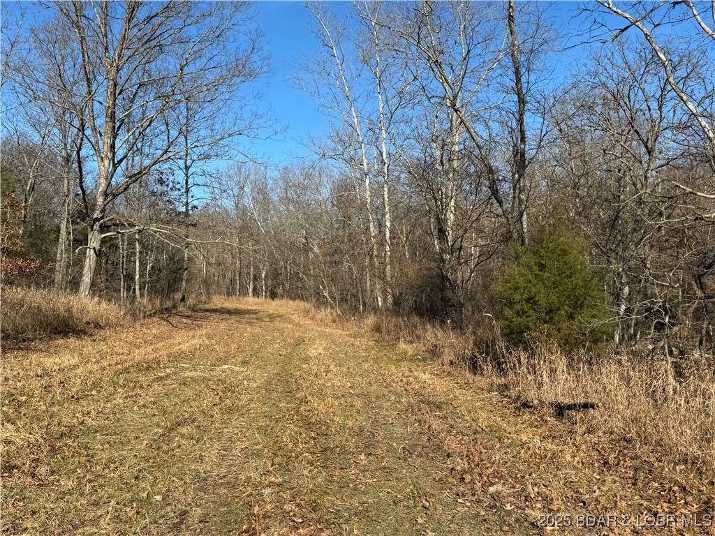 82 Acres State Rd Nn Property Photo 55