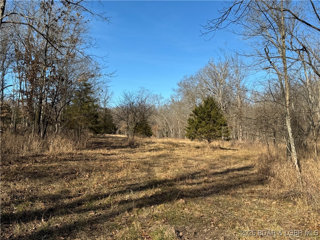 82 Acres State Rd Nn Property Photo 56