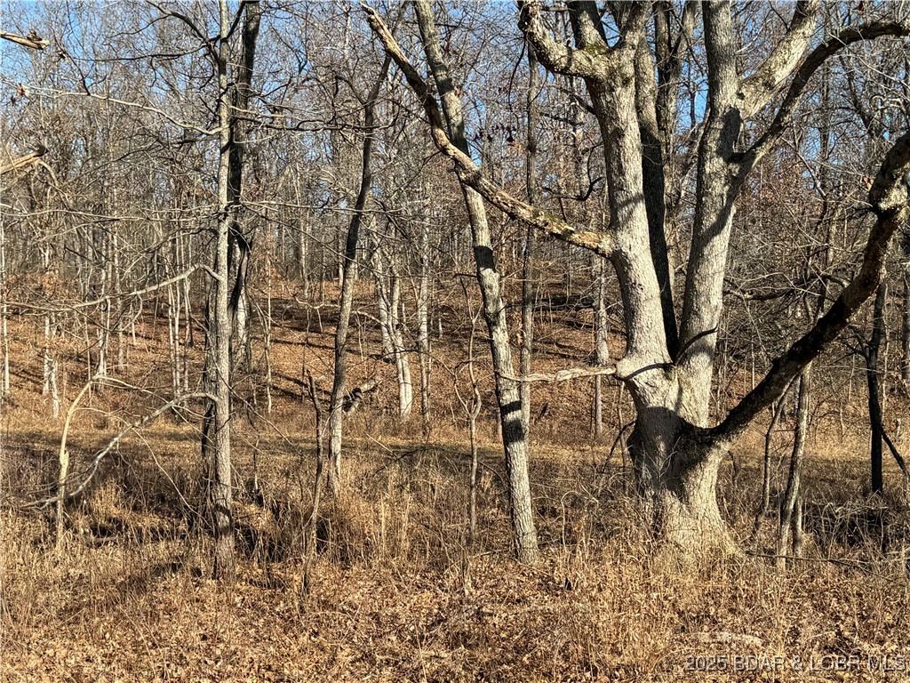 82 Acres State Rd Nn Property Photo 58