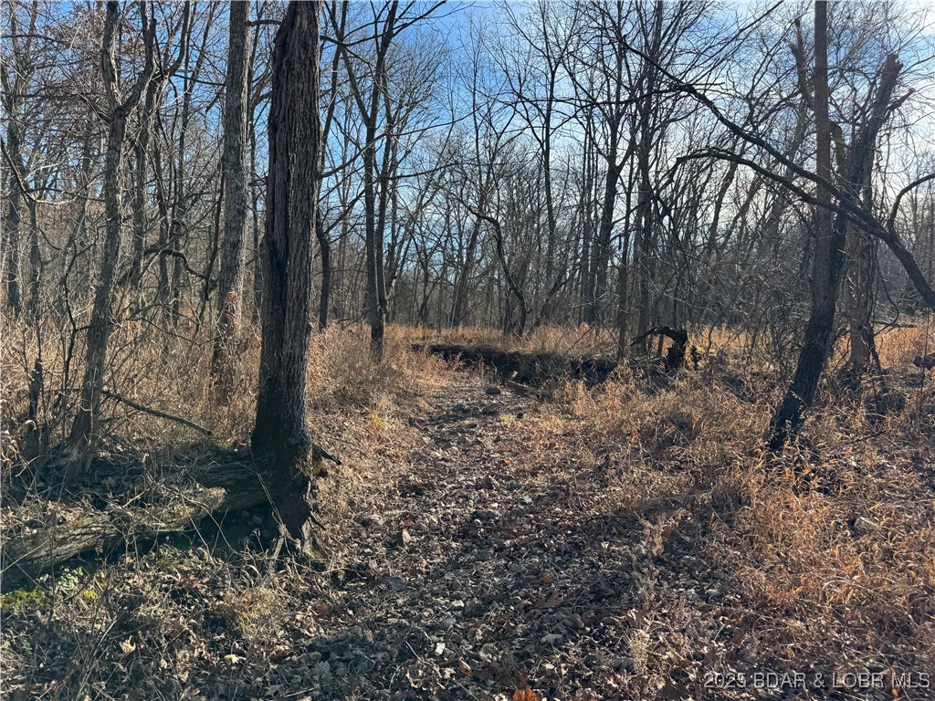 82 Acres State Rd Nn Property Photo 61