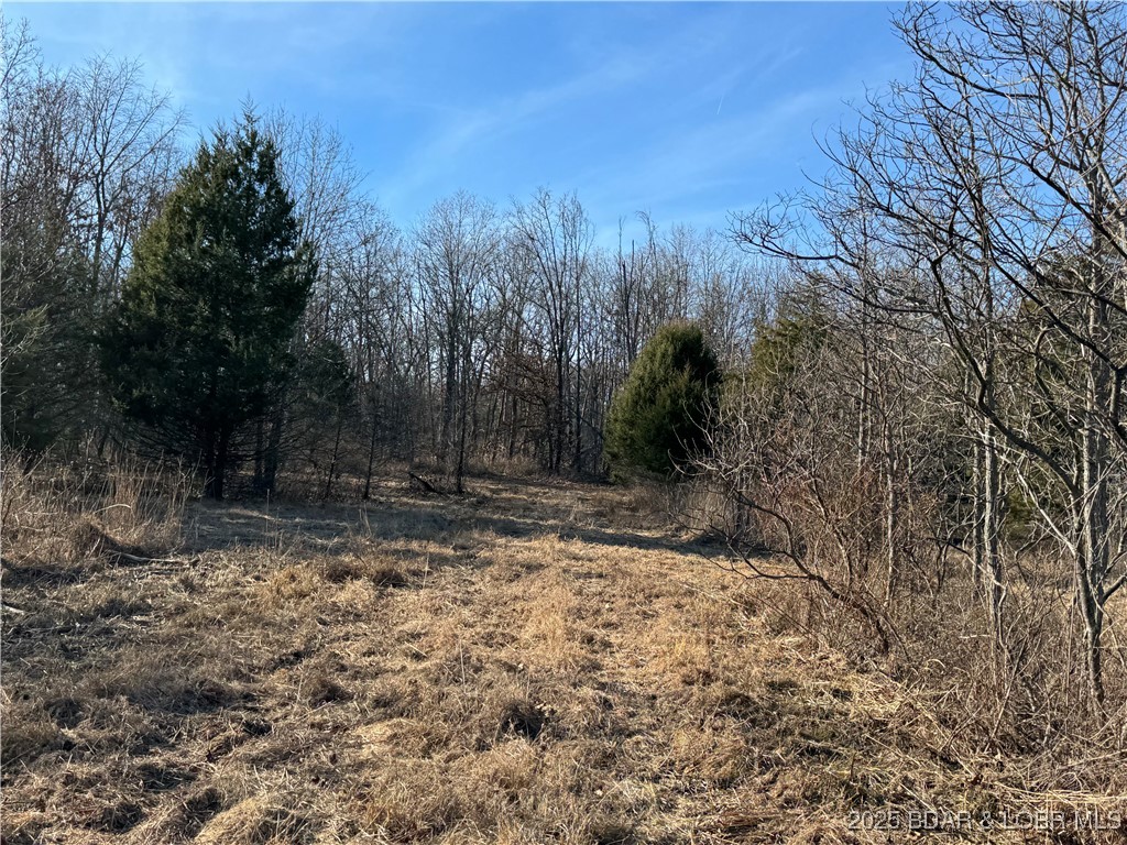 82 Acres State Rd Nn Property Photo 64