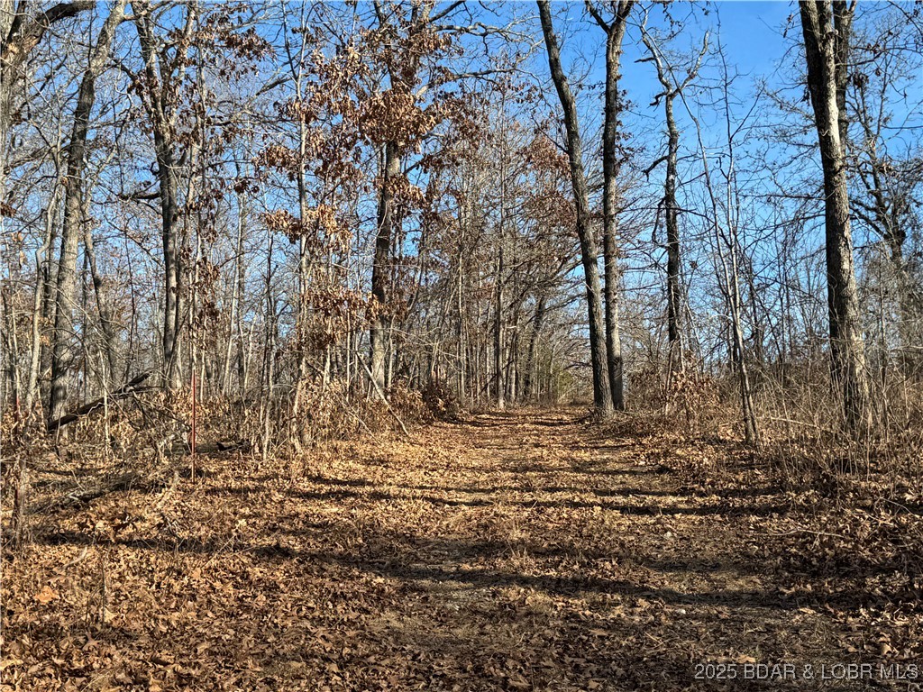 82 Acres State Rd Nn Property Photo 65