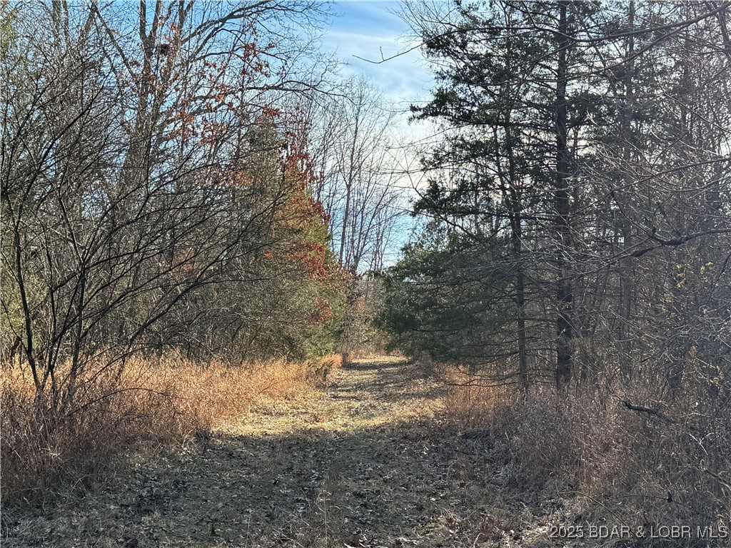 82 Acres State Rd Nn Property Photo 67