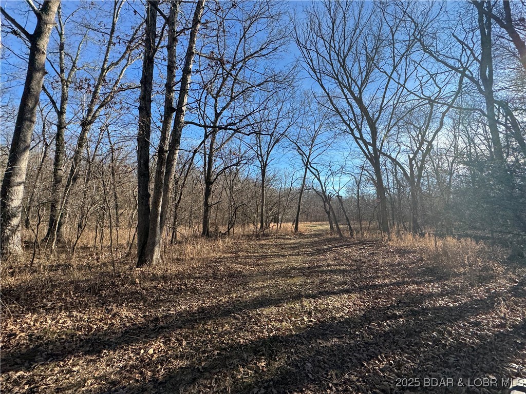82 Acres State Rd Nn Property Photo 68