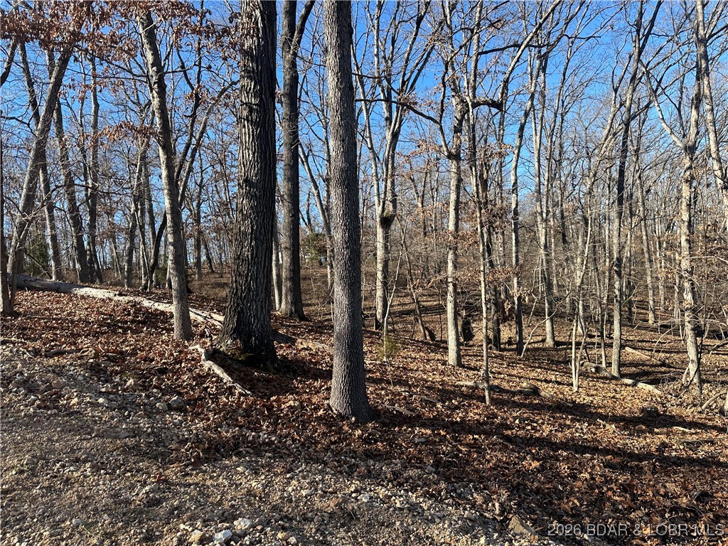 Lot 371 Cornette Cove #2 Property Photo 1