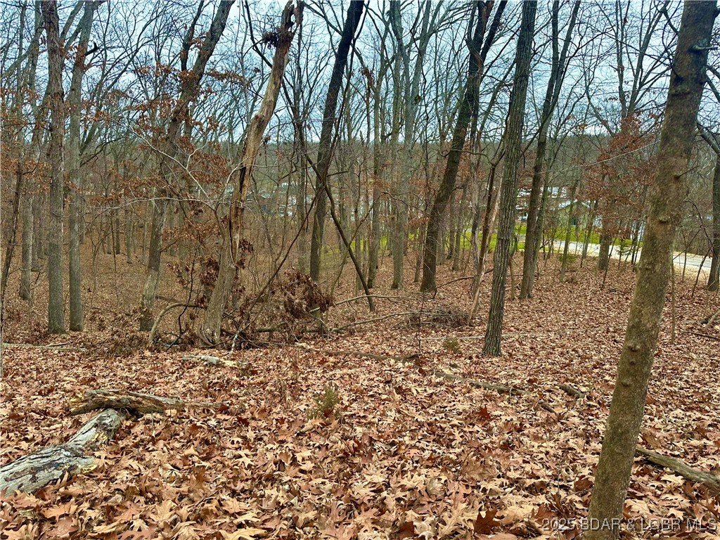 Lot 371 Cornette Cove #2 Property Photo 2