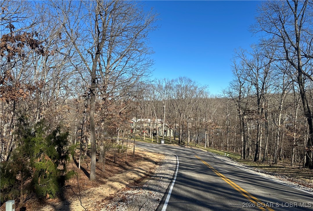 Lot 371 Cornette Cove #2 Property Photo 3