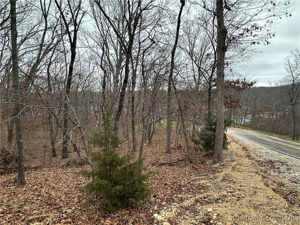 Lot 371 Cornette Cove #2 Property Photo 4