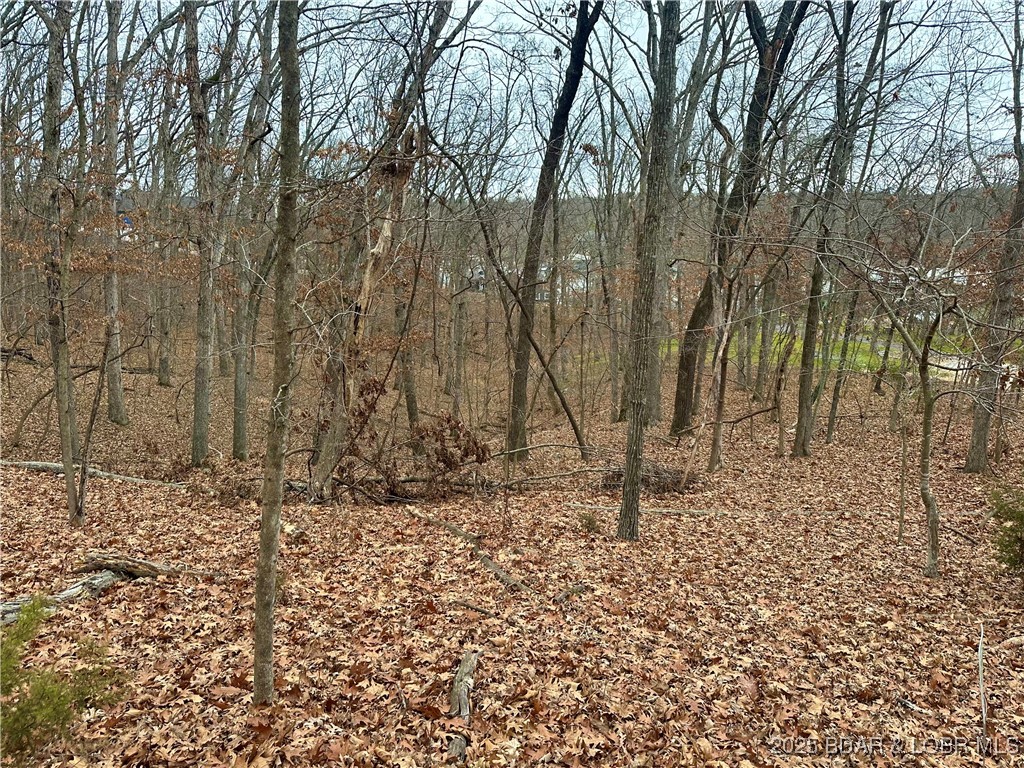 Lot 371 Cornette Cove #2 Property Photo 5