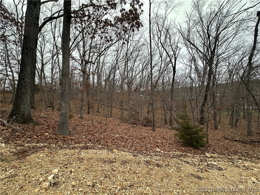 Lot 371 Cornette Cove #2 Property Photo 6