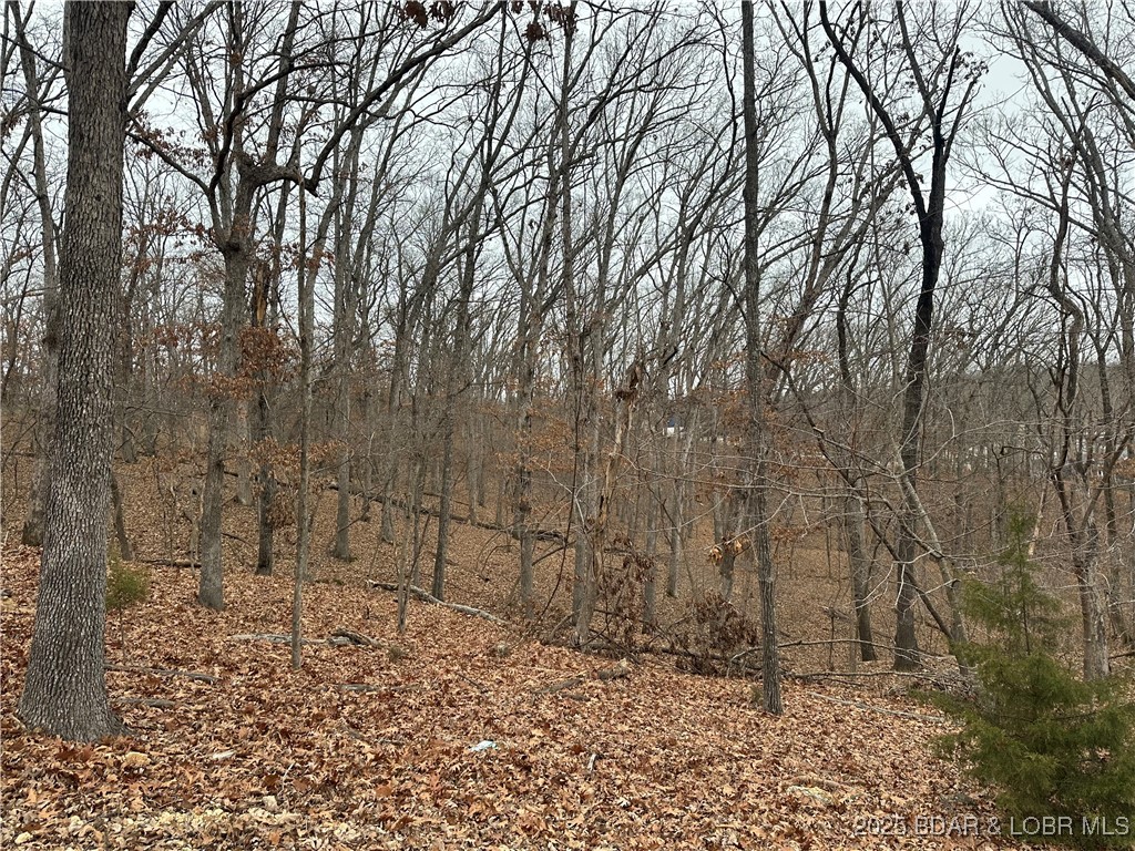 Lot 371 Cornette Cove #2 Property Photo 8