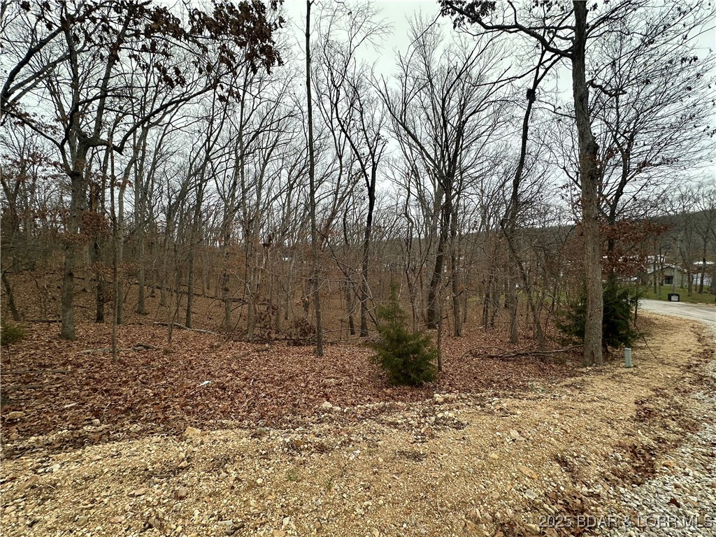 Lot 371 Cornette Cove #2 Property Photo 9