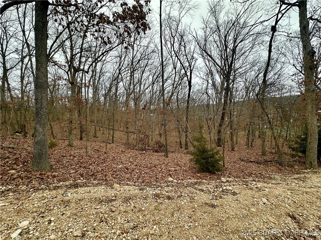 Lot 371 Cornette Cove #2 Property Photo 10